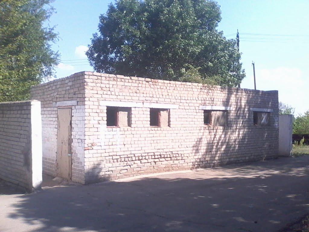 Новотимофіївка з panoramio.com - Новотимофіївка