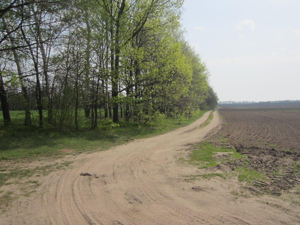 Городок з panoramio.com - Городок