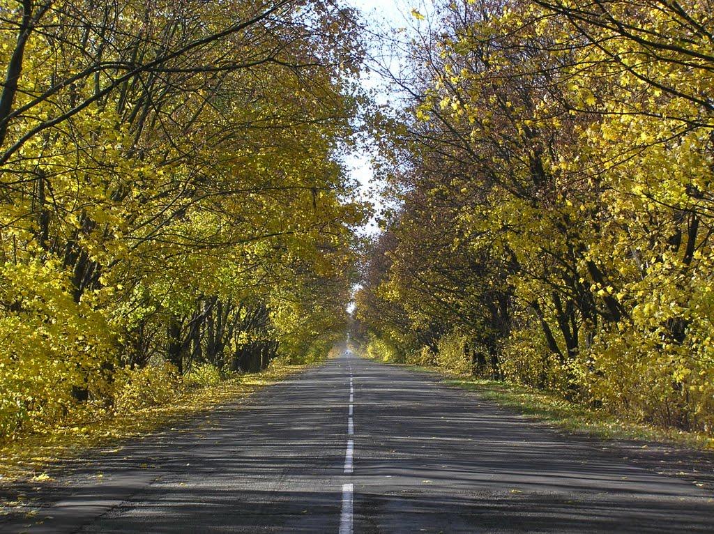 Петровське з panoramio.com - Петровское