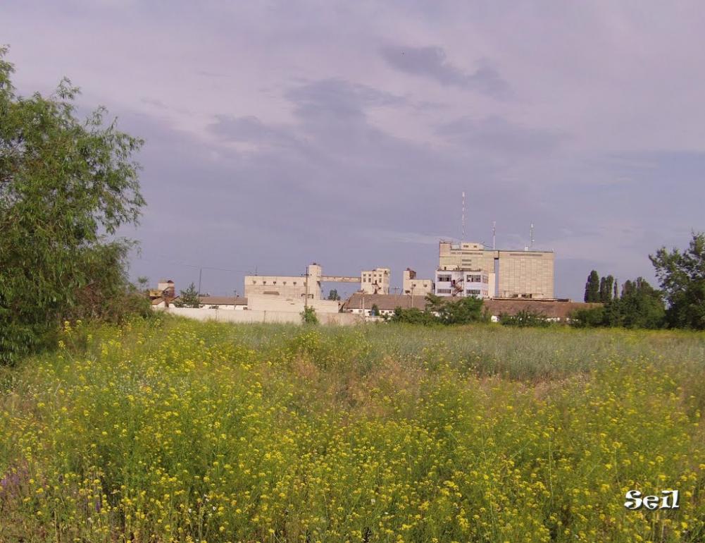 Покровське з panoramio.com - Покровське