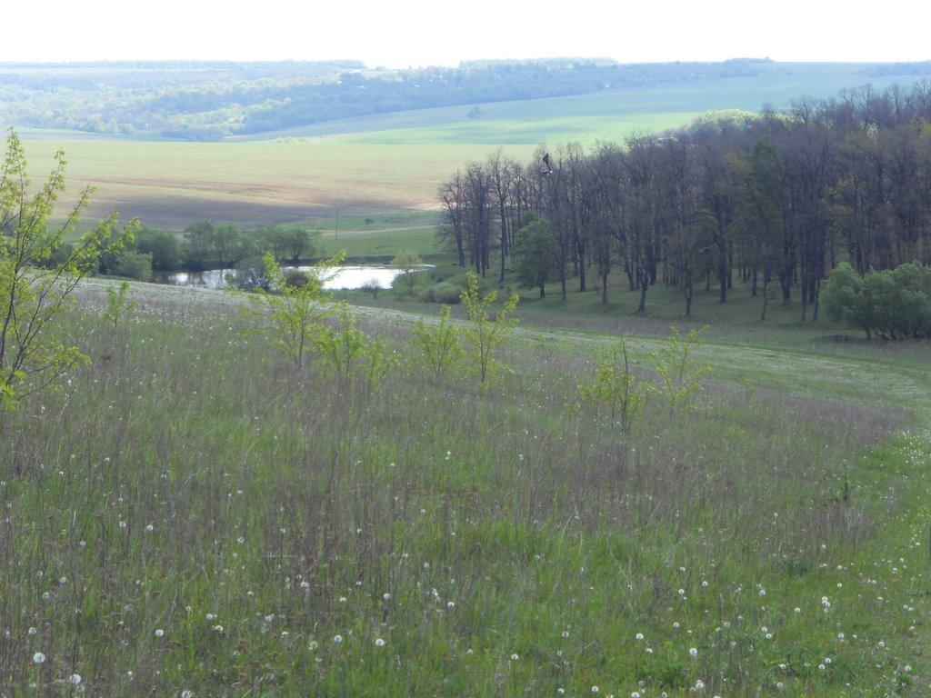 Обухів з panoramio.com - Обухів