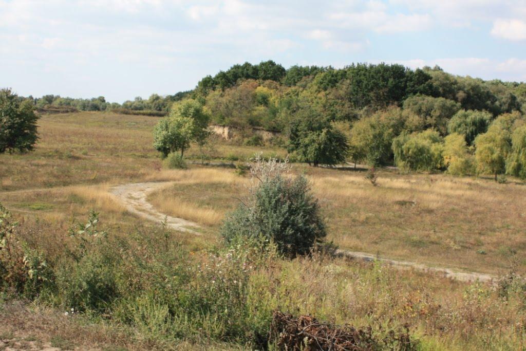 Малі Канівці з panoramio.com - Малі Канівці