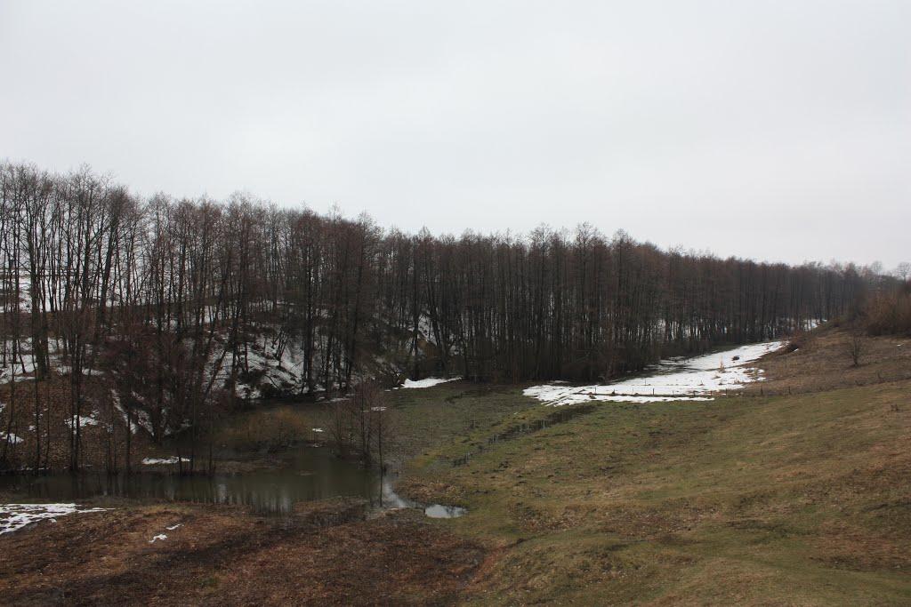 Волосівка з panoramio.com - Волосівка