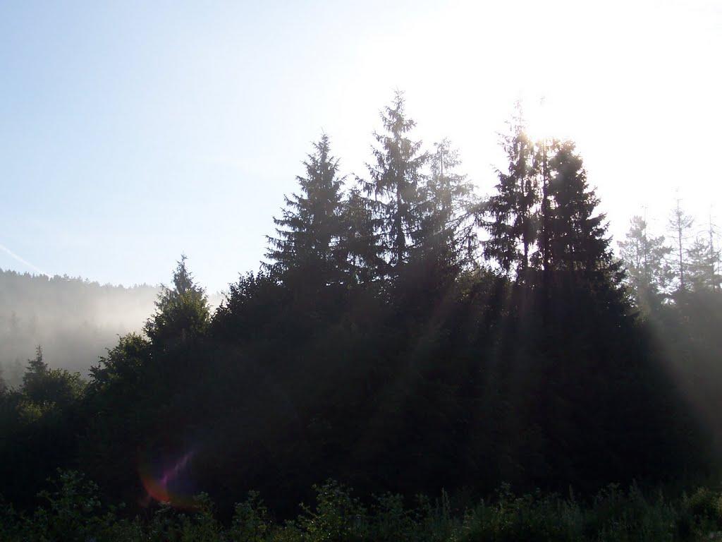 Потутори з panoramio.com - Потуторы