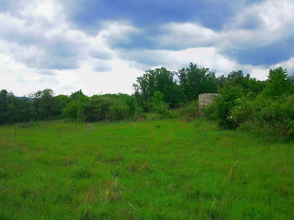 Щасливе з panoramio.com - Schaslyve