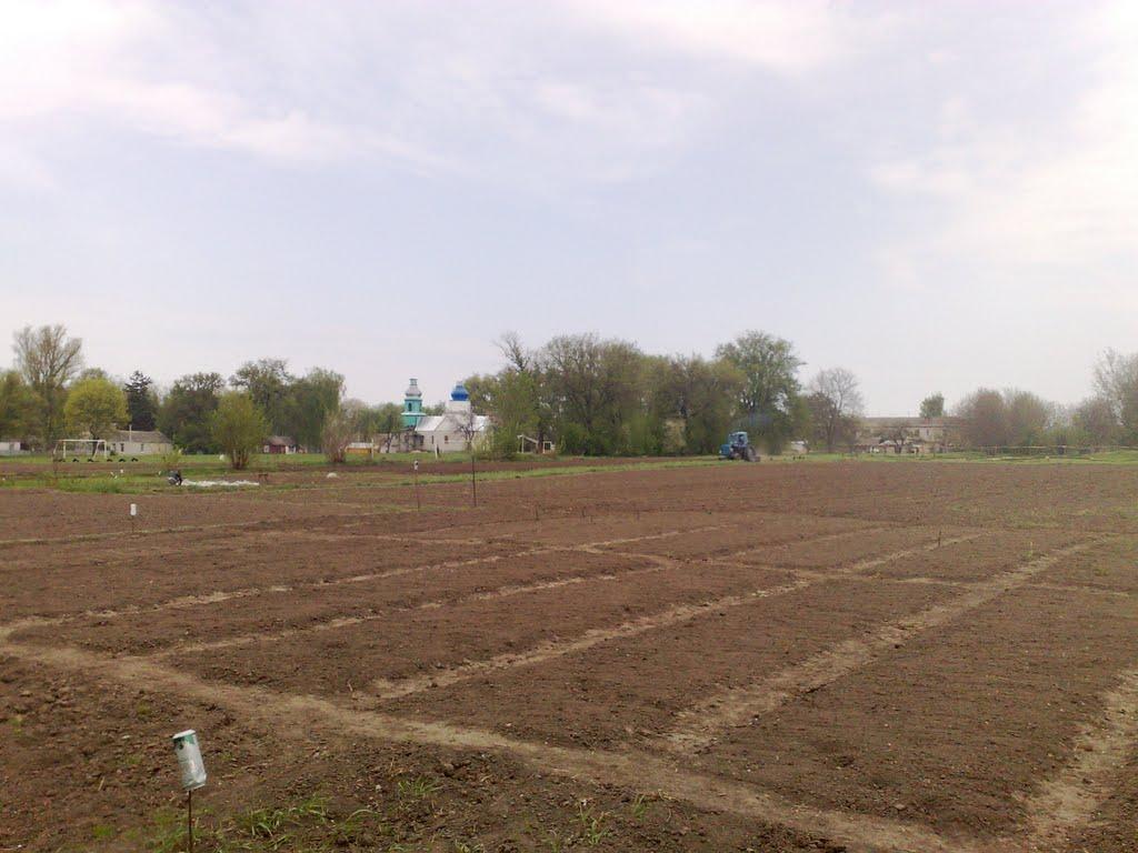 Марківці з panoramio.com - Марковцы