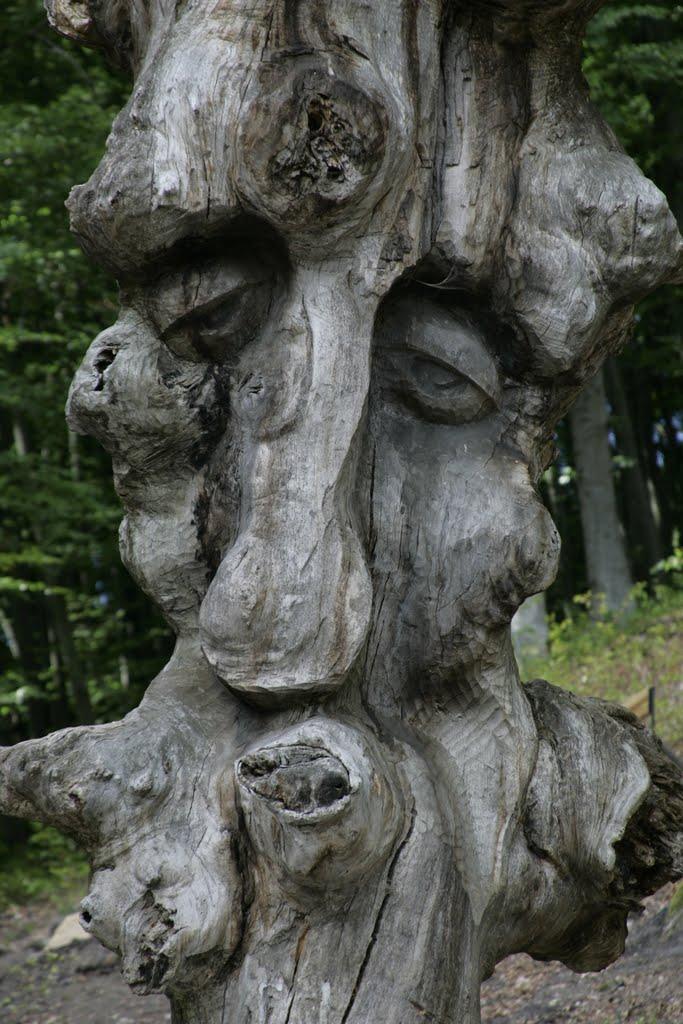 Лісники з panoramio.com - Лесники