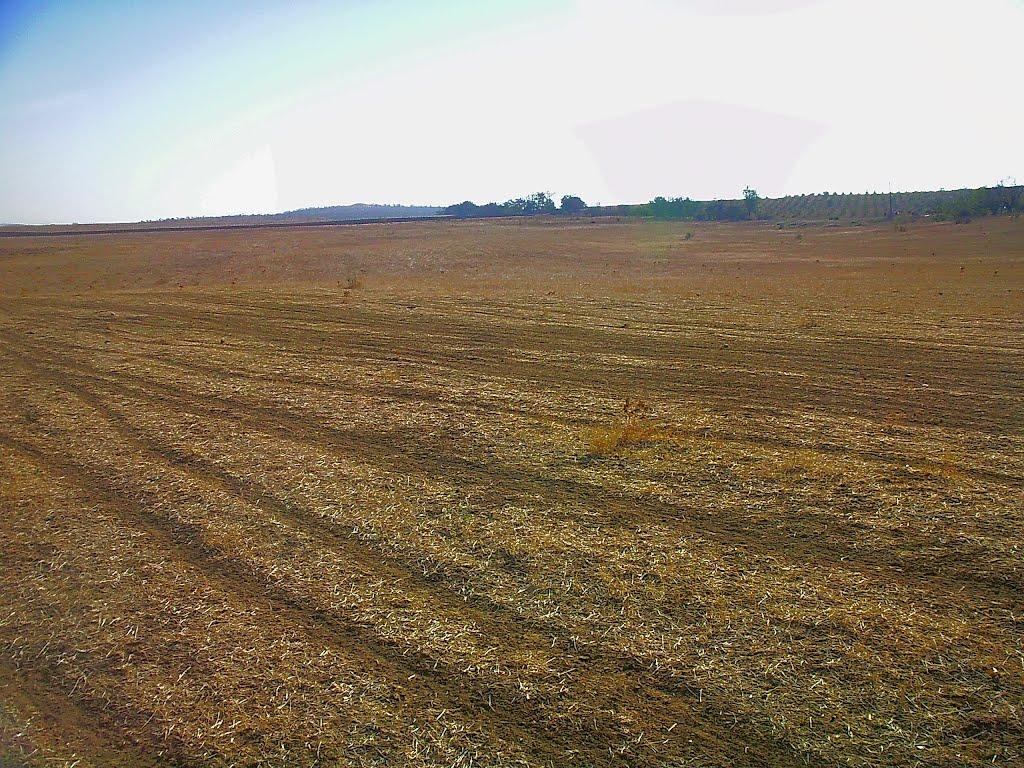 Розсадне з panoramio.com - Rozsadne