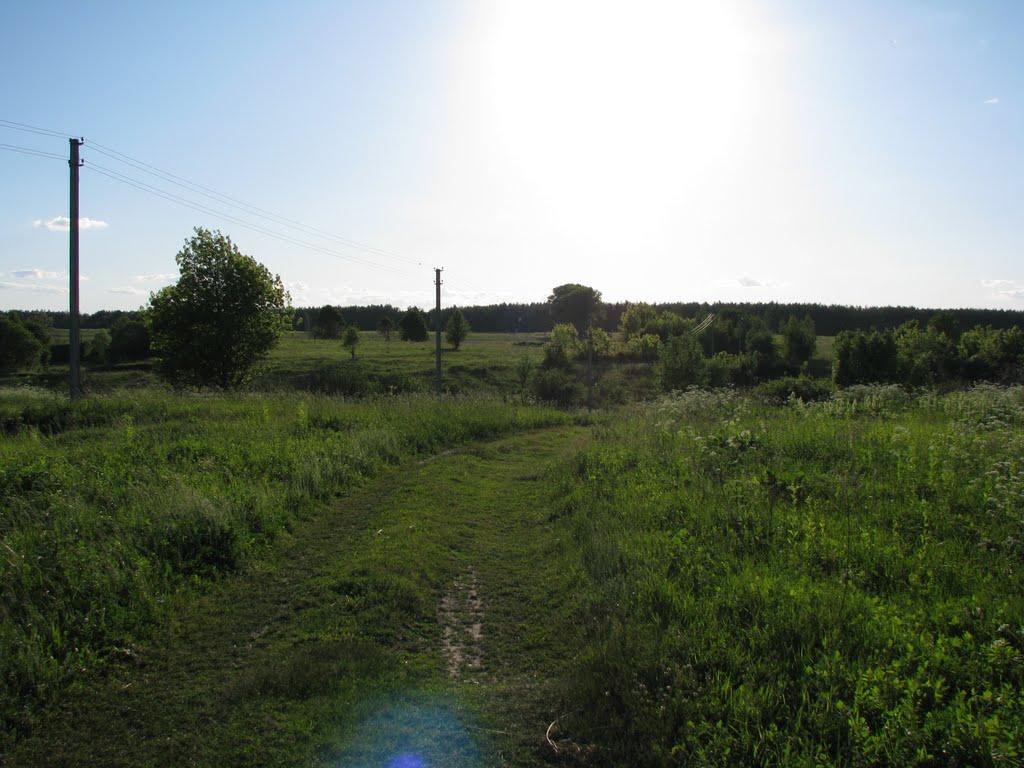 Уланове з panoramio.com - Уланове