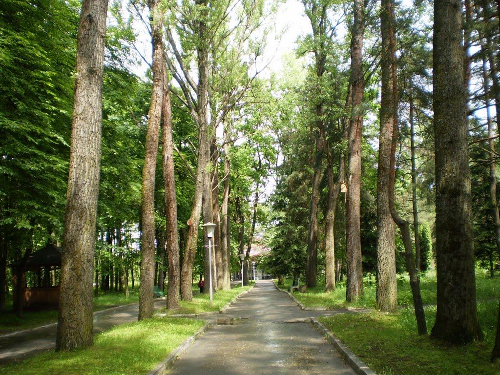 Новий Яр з panoramio.com - Новий Яр