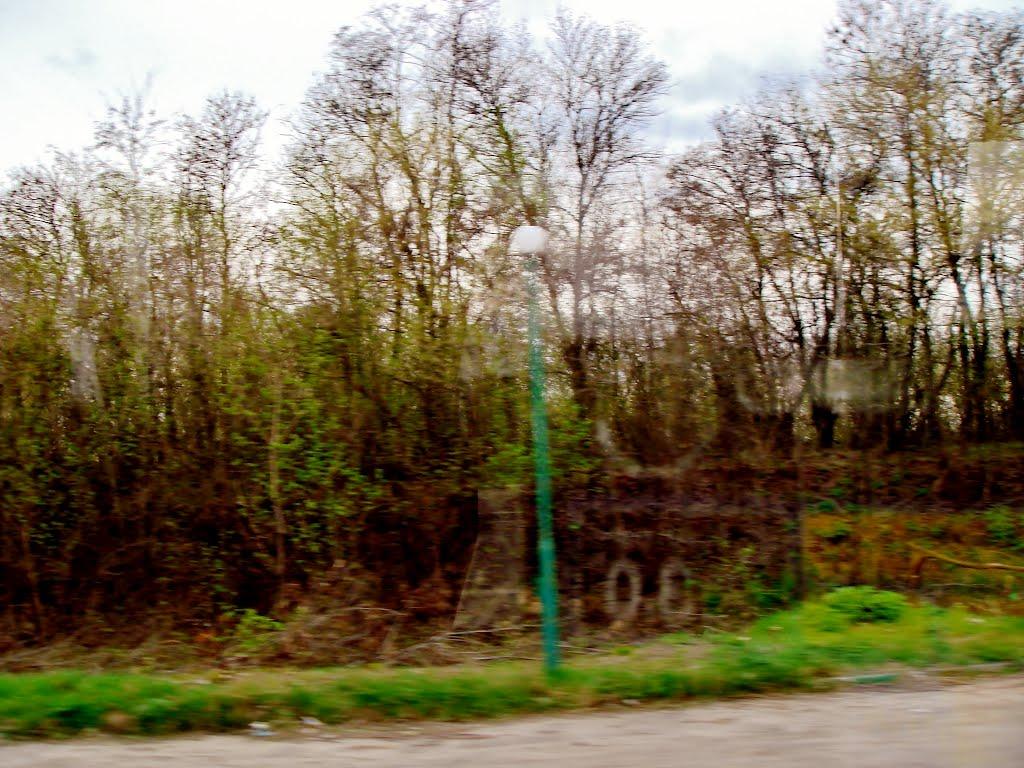 Гребінки з panoramio.com - Гребенки