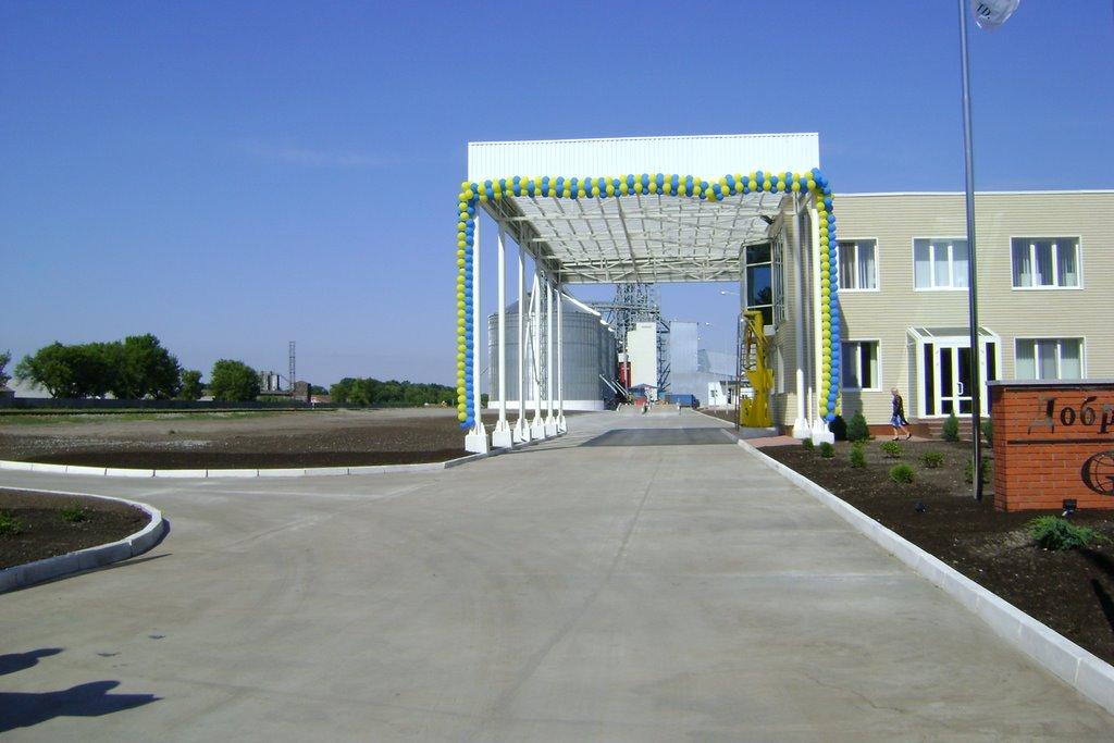 Добронадіївка з panoramio.com - Добронадиевка