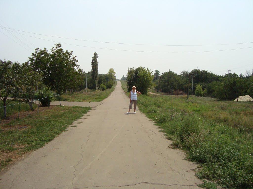 Весняна Квітка з panoramio.com - Весняная Квитка