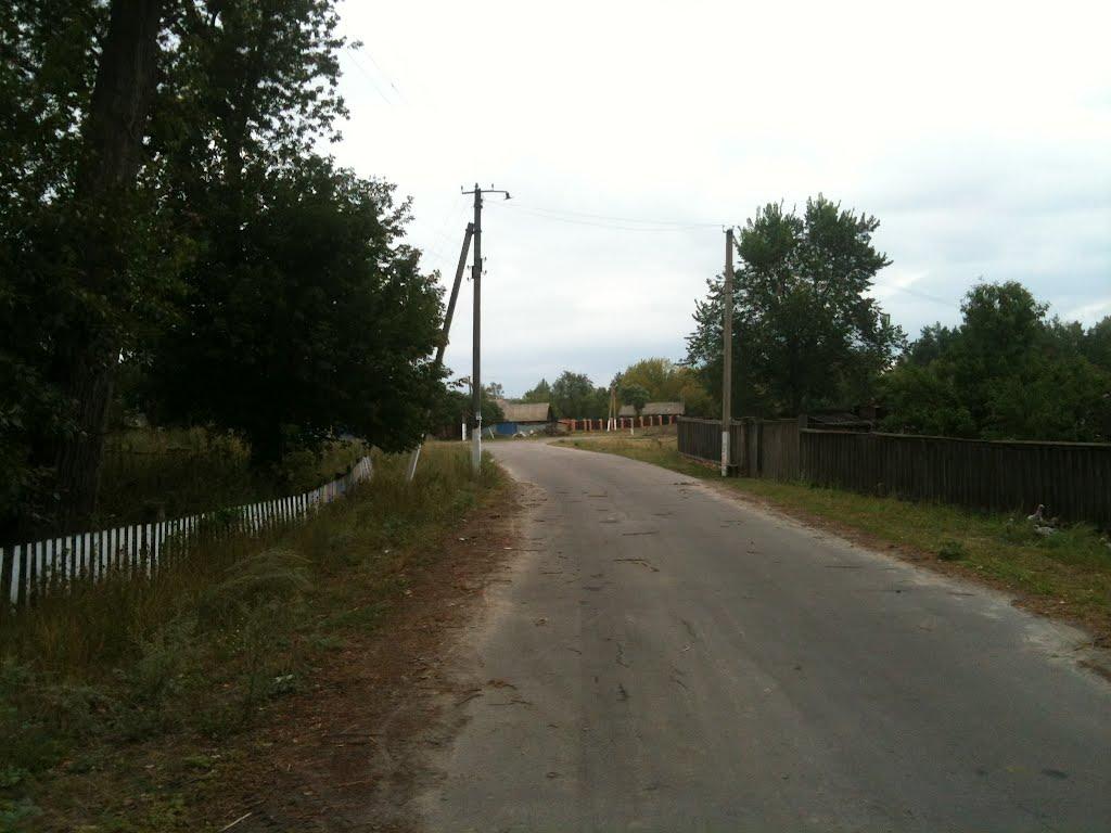 Любитове з panoramio.com - Любитово