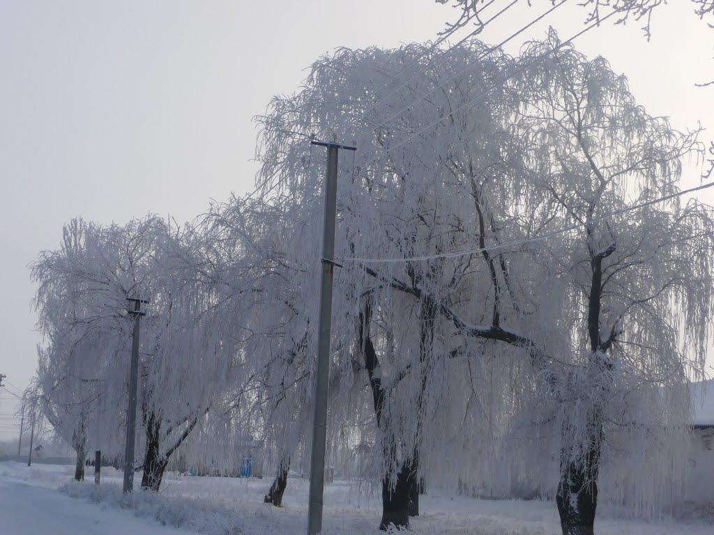 Плодородне з panoramio.com - Плодородне