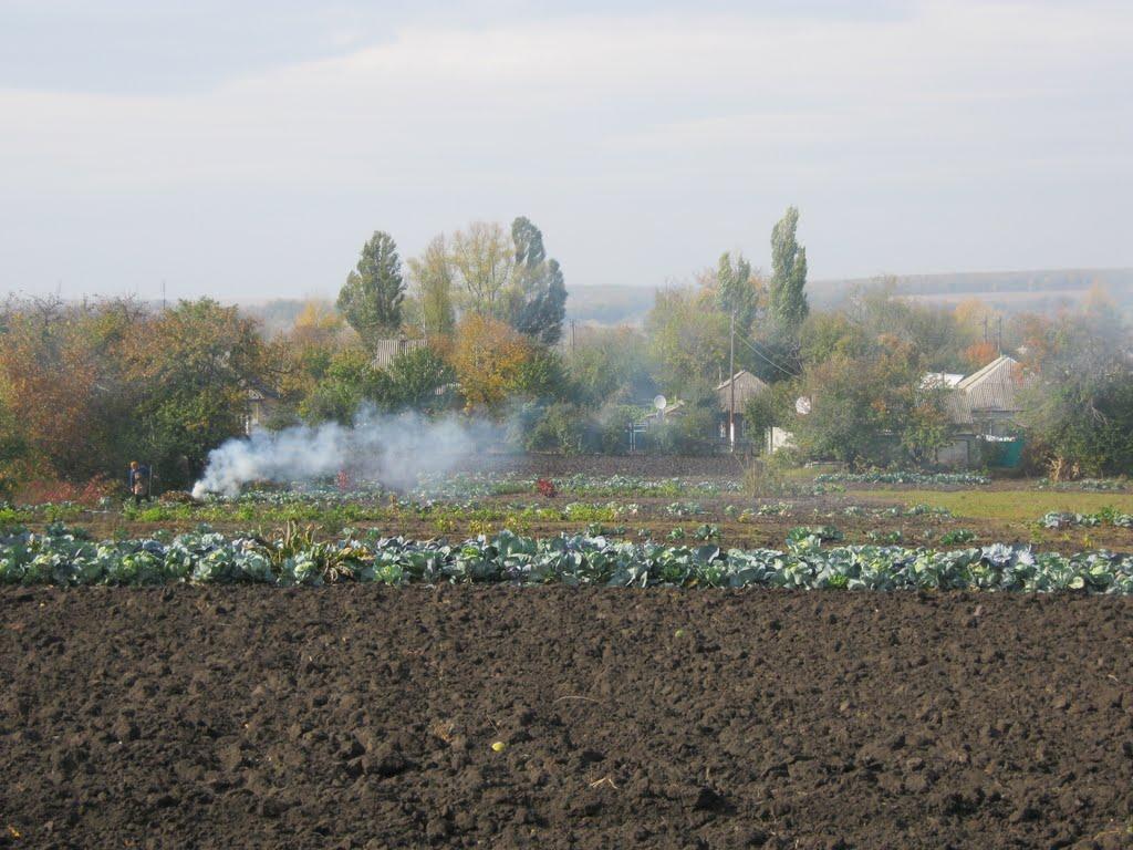 Довжик з panoramio.com - Довжик