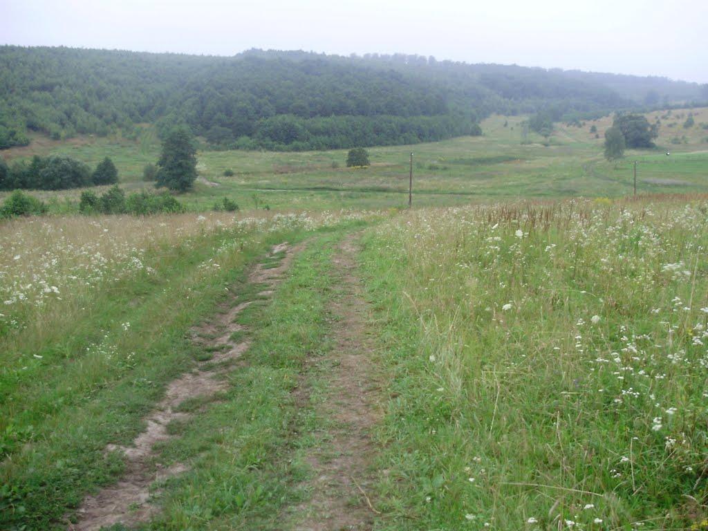 Селисько з panoramio.com - Селиско