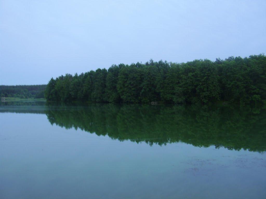 Неморож з panoramio.com - Неморож