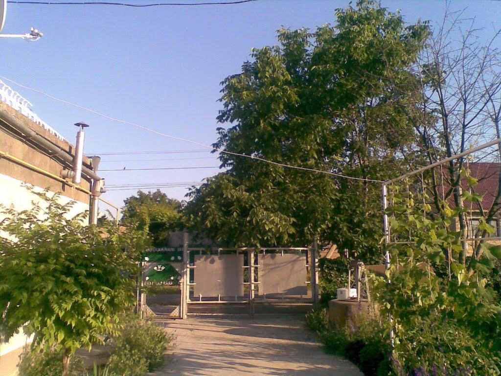 Фонтанка з panoramio.com - Фонтанка
