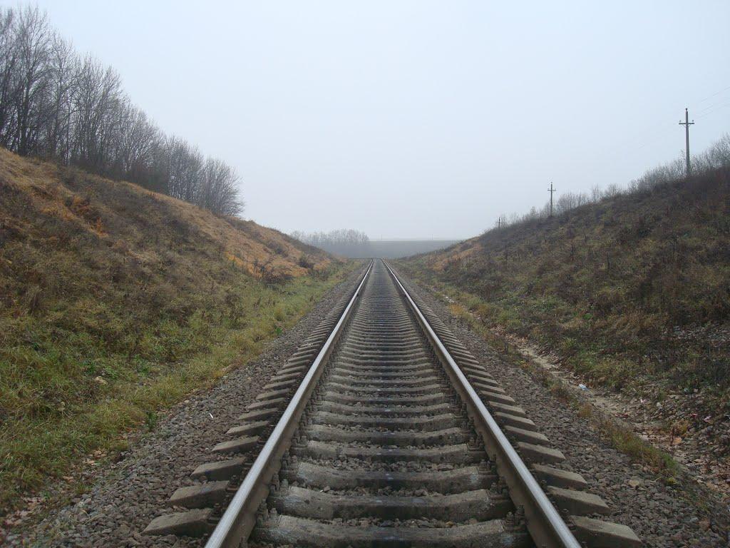 Лошківці з panoramio.com - Лошківці