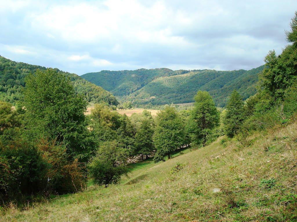 Довге з panoramio.com - Довге