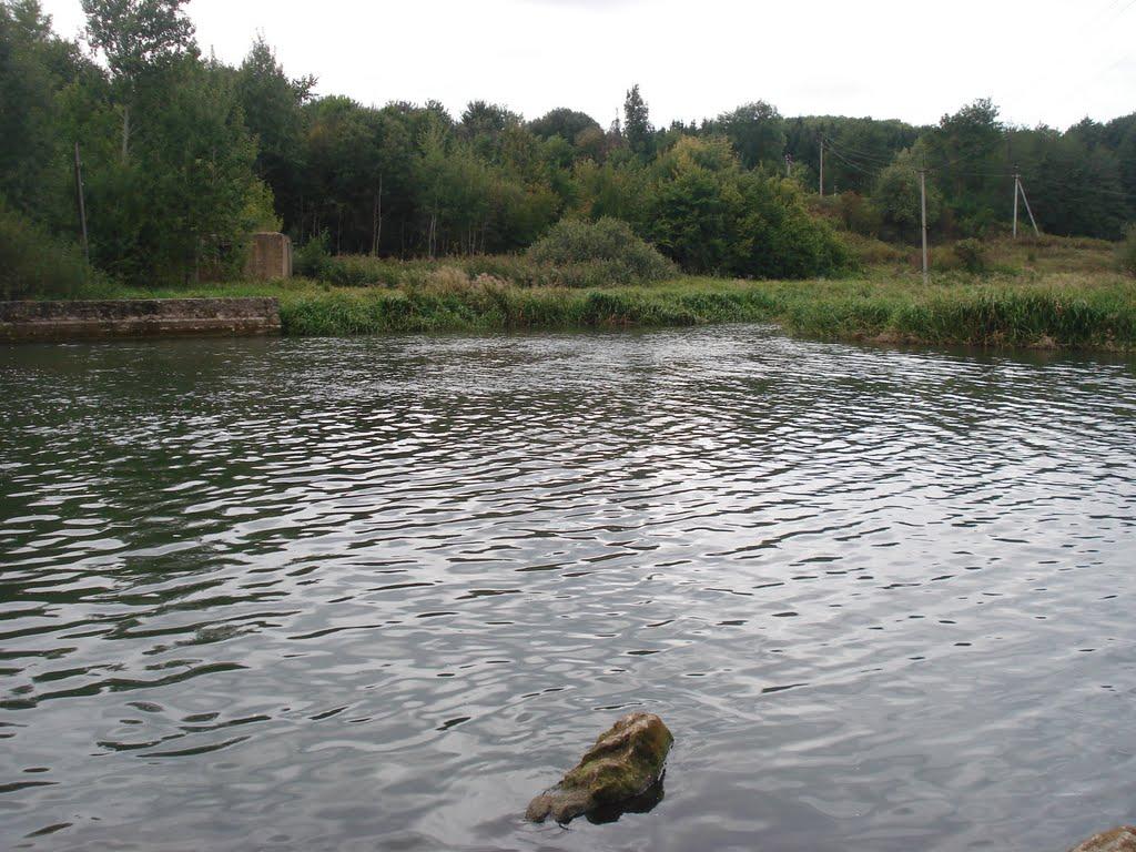 Снітівка з panoramio.com - Снитовка