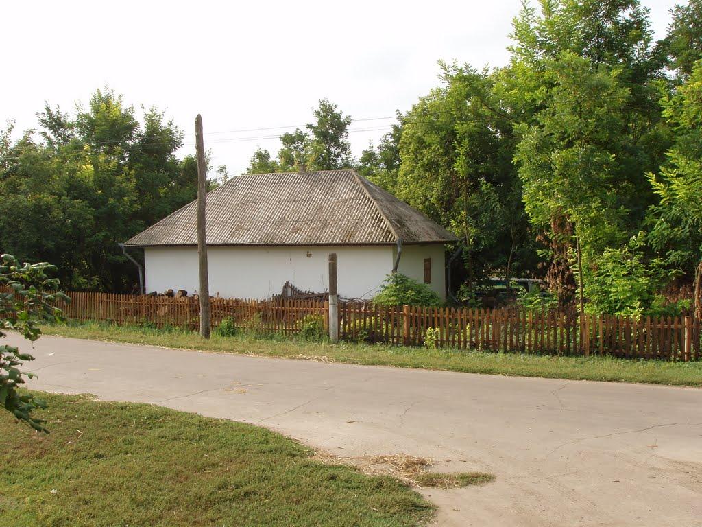 Пасат з panoramio.com - Пасат