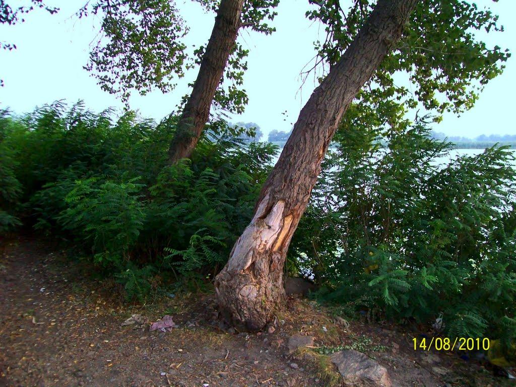 Кушугум з panoramio.com - Кушугум