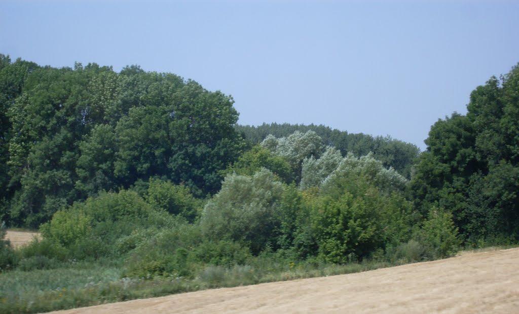 Радісне з panoramio.com - Радісне
