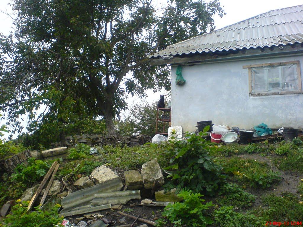 Кулішівка з panoramio.com - Кулішівка