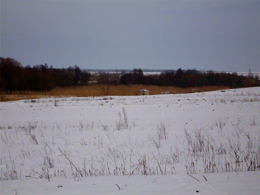 Жовтневе з panoramio.com - Жовтневое