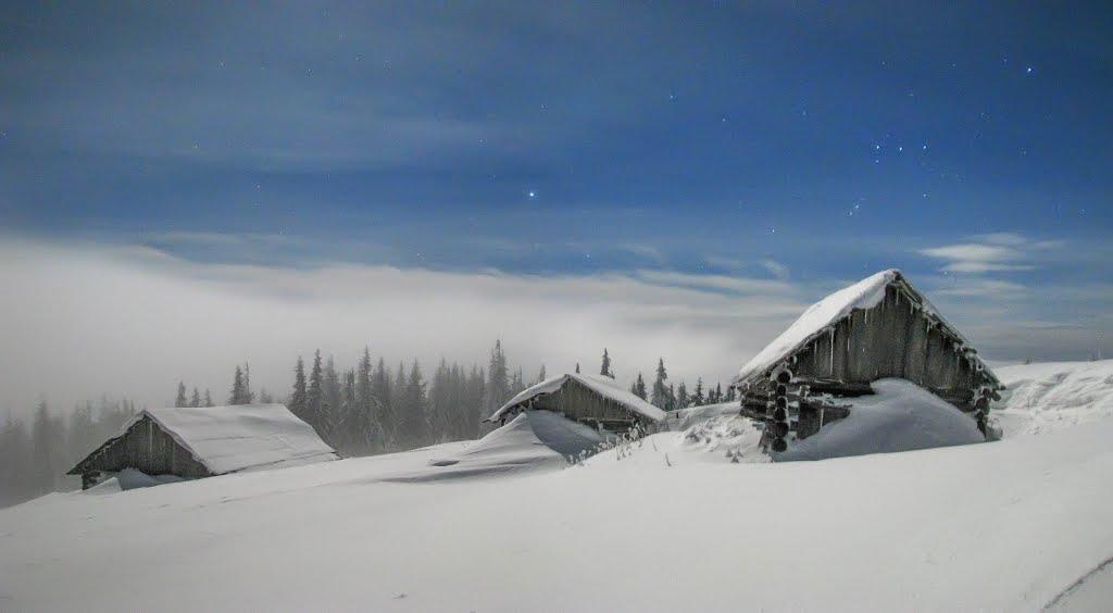 Чорна Тиса з panoramio.com - Черная Тиса