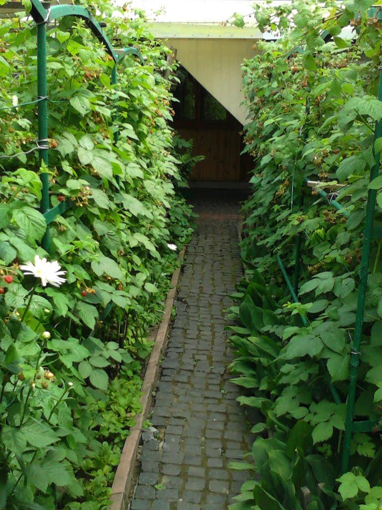 Дядьковичі з panoramio.com - Дядьковичі