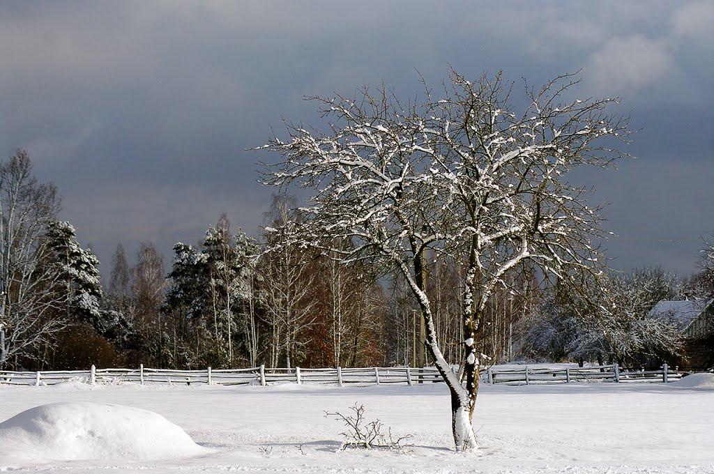 Полянка з panoramio.com - Полянка