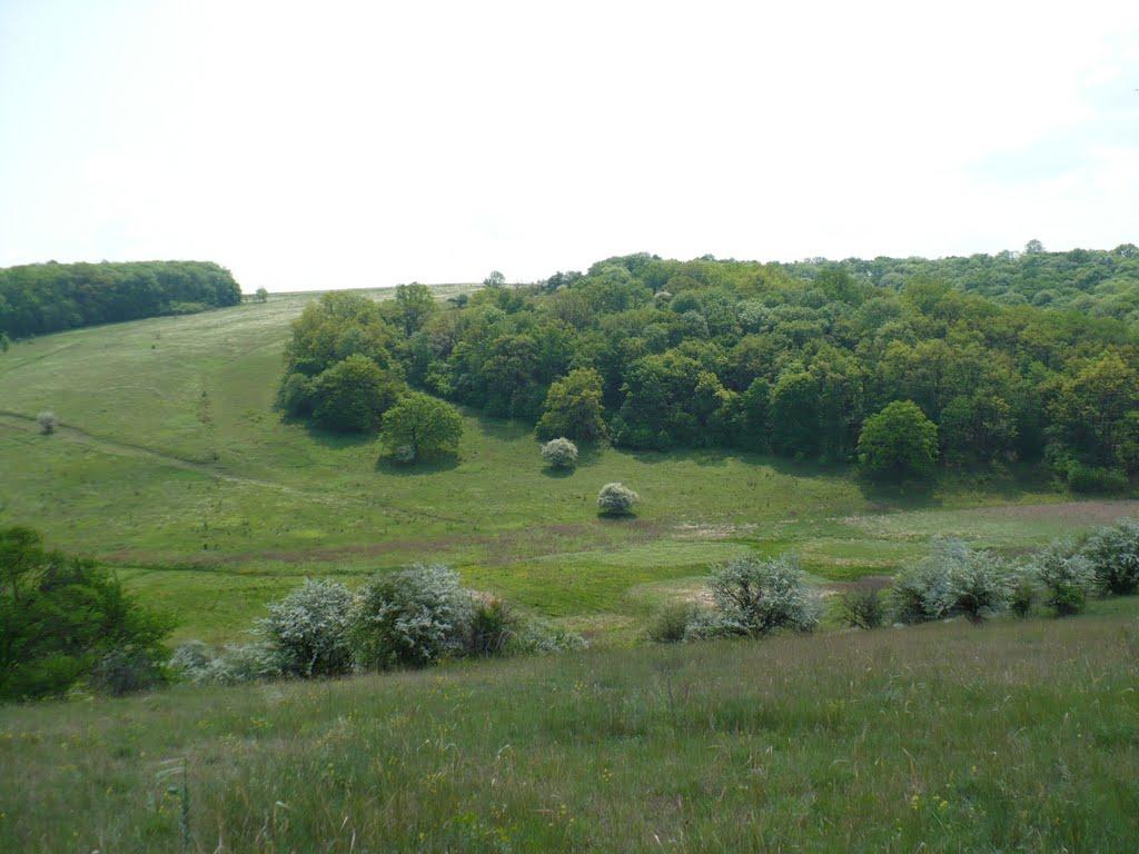 Курулька з panoramio.com - Курулька