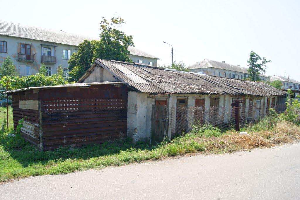 Мартинівське з panoramio.com - Мартинівське