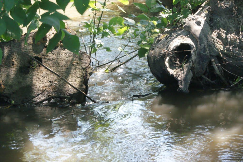Кам'яний Брід з panoramio.com - Кам'яний Брід
