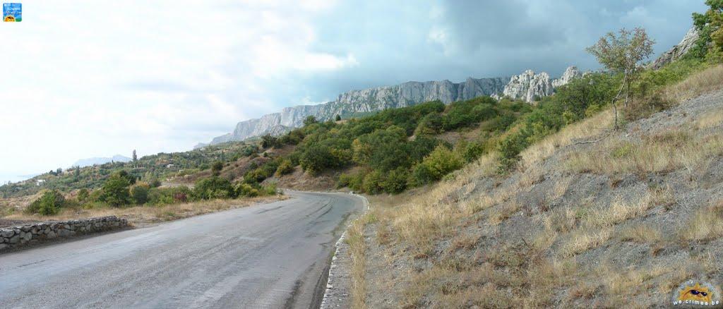 Олива з panoramio.com - Olyva
