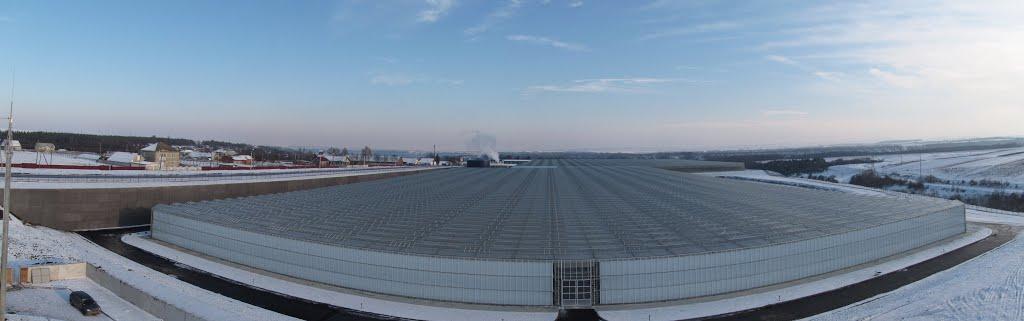 Синьків з panoramio.com - Синьків