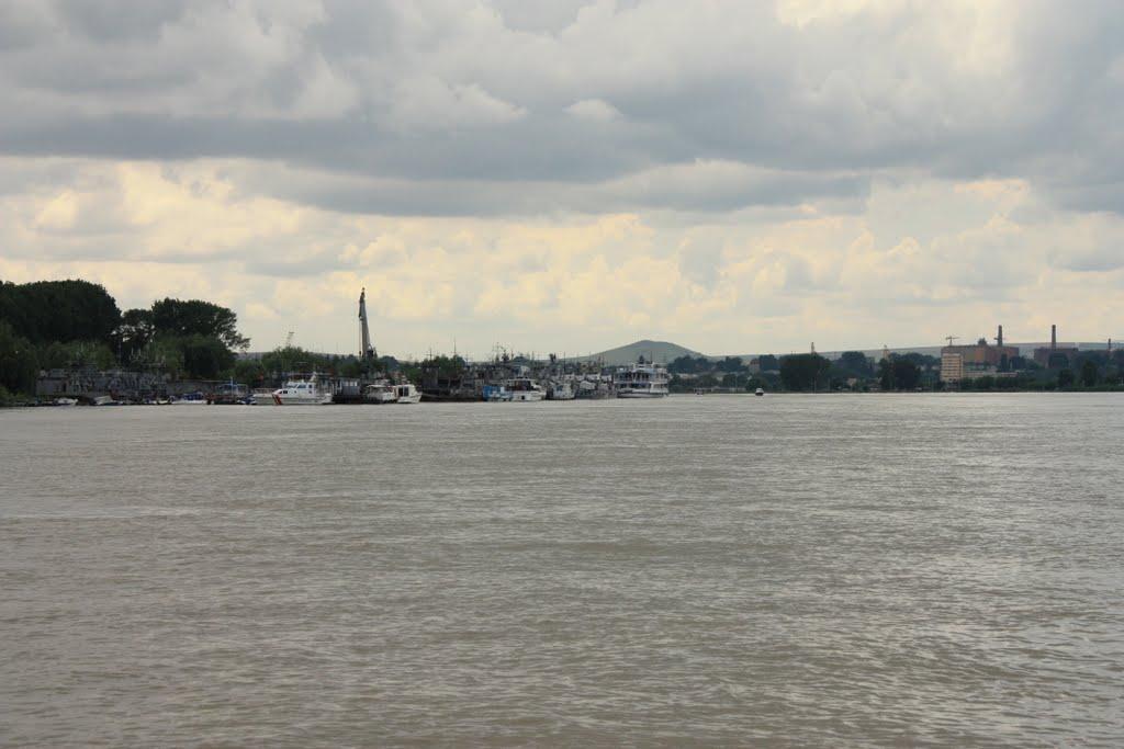 Дунайське з panoramio.com (ч.2) - Dunayske