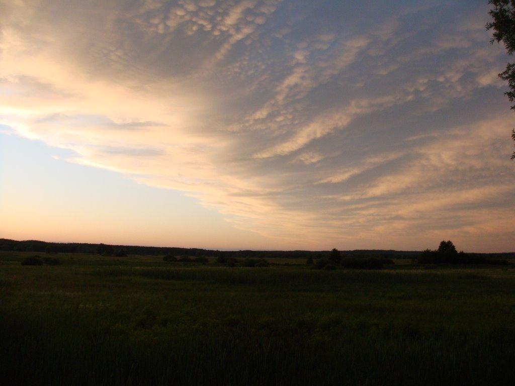 Вільшанка з panoramio.com - Vilshanka