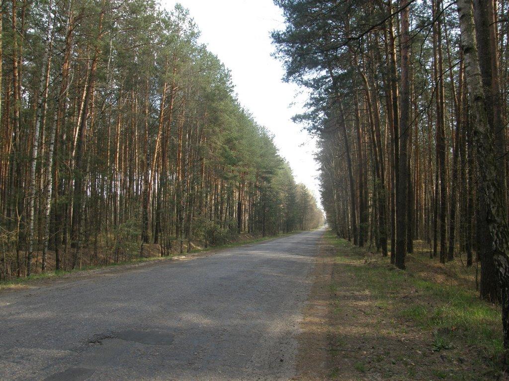 Родникове з panoramio.com - Родниково
