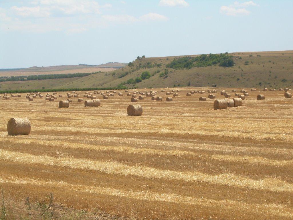 Кочергіне з panoramio.com - Кочергино