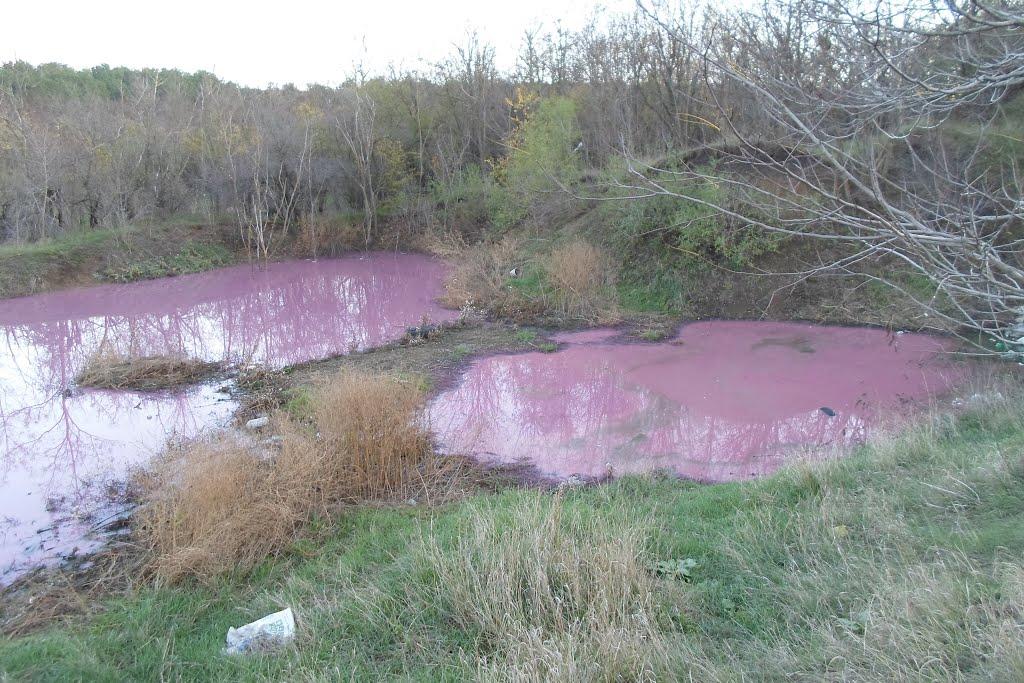 Веселинове з panoramio.com - Веселинове