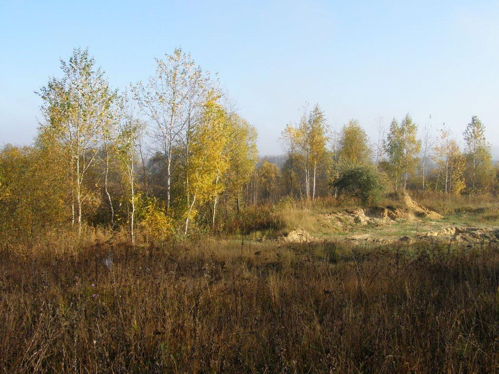 Люботин з panoramio.com (ч.2) - Люботин