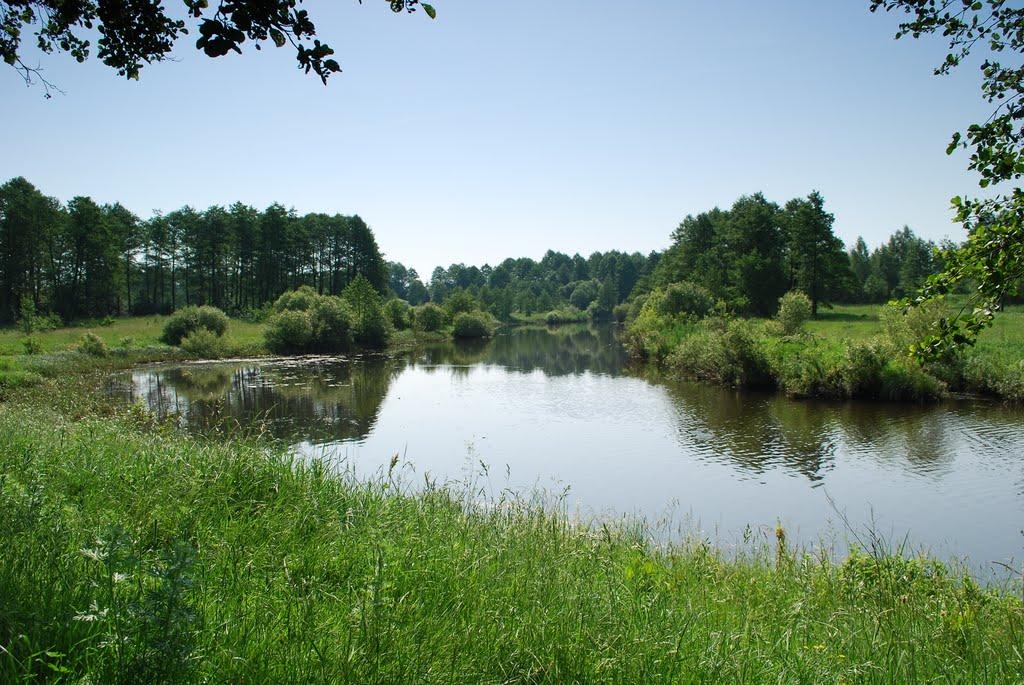 Романівка з panoramio.com - Романовка