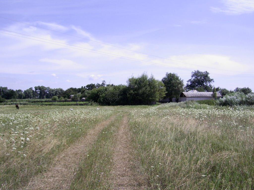 Сидорівка з panoramio.com - Сидорівка