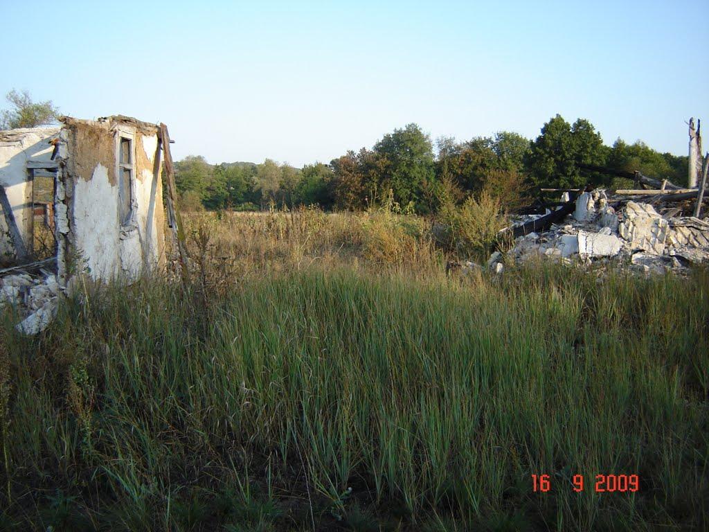 Масютівка з panoramio.com - Масютівка