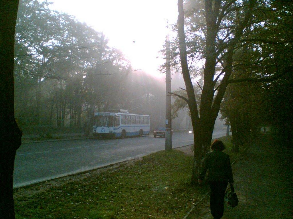 Жовтневе з panoramio.com - Жовтневое