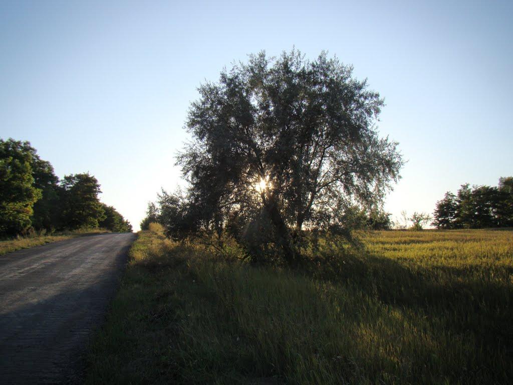 Довжик з panoramio.com - Довжик